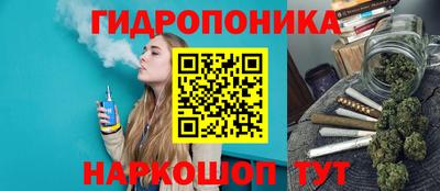 скорость Новодвинск