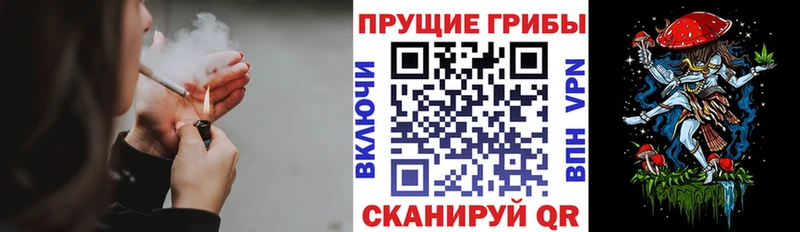где продают   Янаул  Галлюциногенные грибы мицелий 