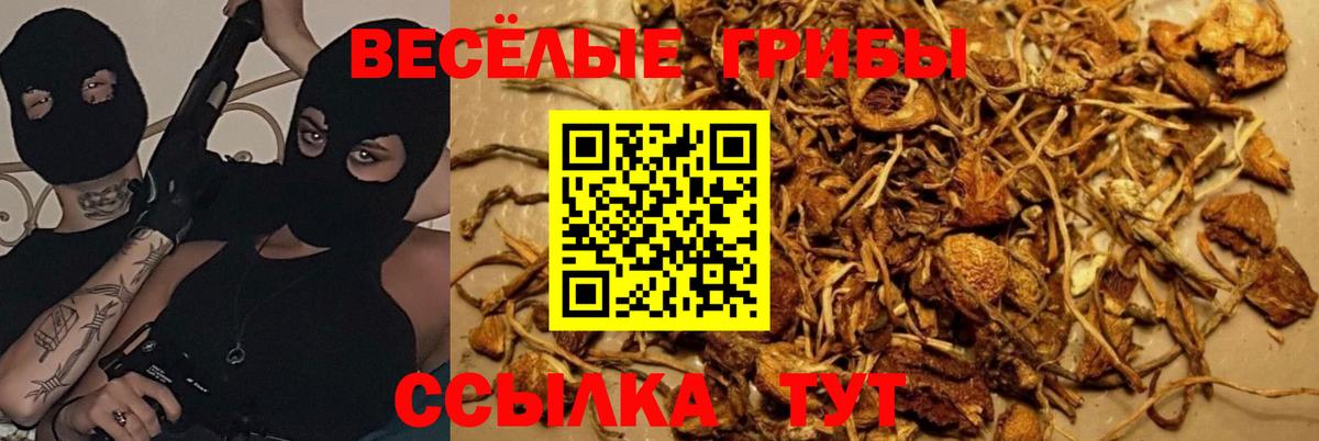 Псилоцибиновые грибы MAGIC MUSHROOMS Янаул