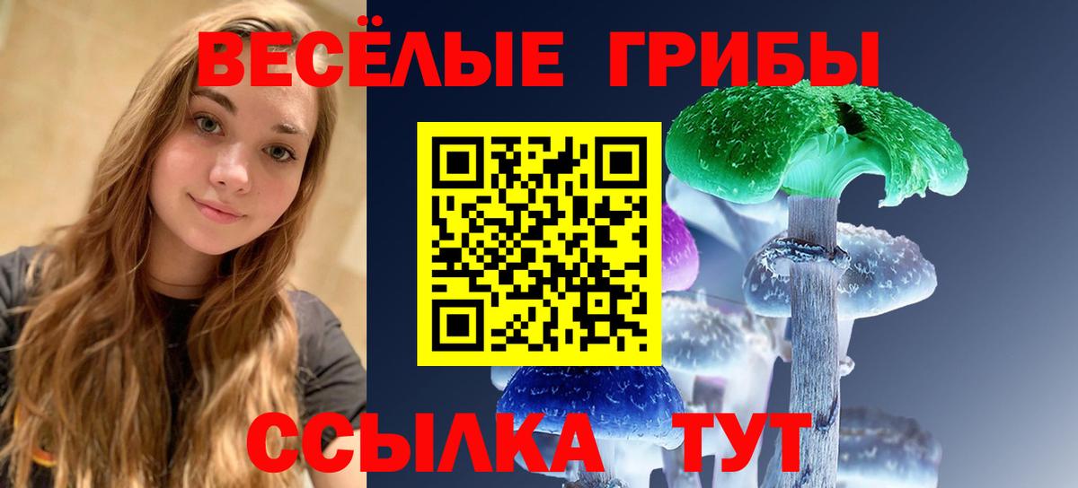 Галлюциногенные грибы мухоморы  купить закладку  Янаул  Вход с VPN 